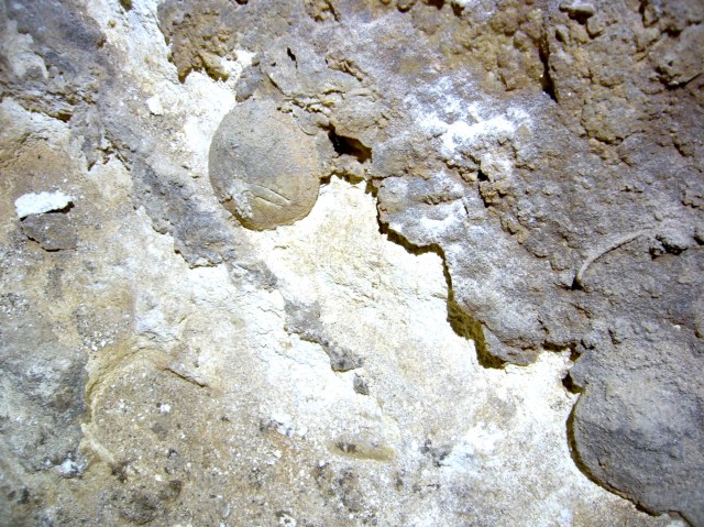 Cova de sa Balma des Quartó