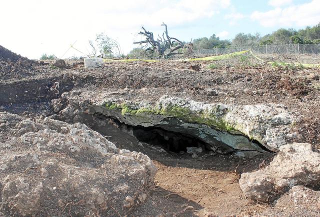 foto Cova de ses Arrels