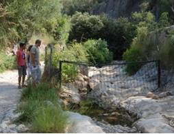 http://www.diariodemallorca.es/part-forana/2015/05/23/cami-coanegra-excluido-ruta-pedra/1025363.html