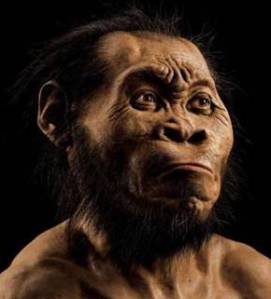 Homo Naledi