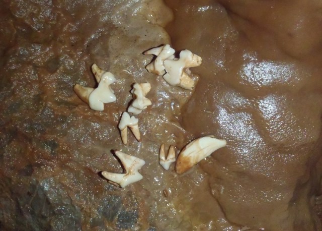 Avenc des Cans. Foto: Rafael Minguillón BTTersMallorca.