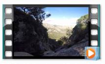 carátula Salt del Molinet