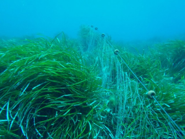Buceo s´Algar. Porto Colom BTTersMallorca. Foto: Rafael Minguillón