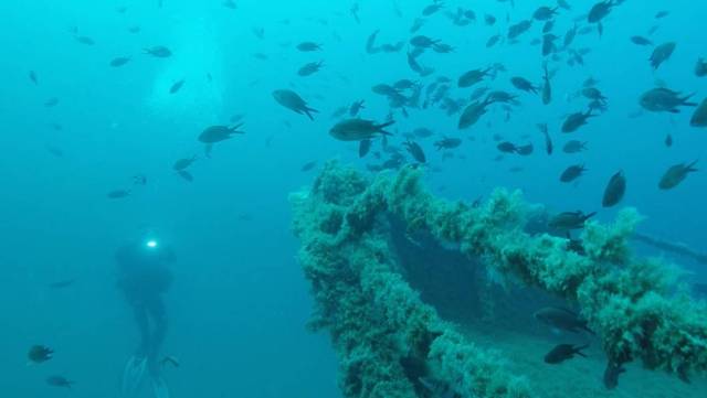 Pecio Dieque Oeste 2016 BTTersMallorca foto: Rafael Minguillón