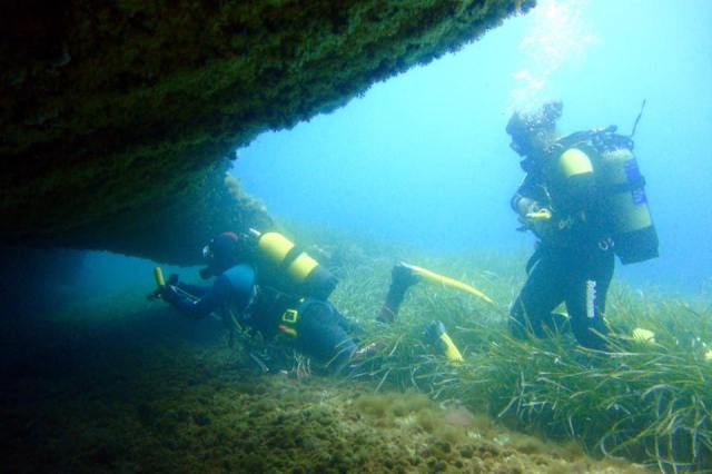 Buceo La Barba. Punta de n´Amer BTTersMallorca Foto: Gabriel Algaba Rey
