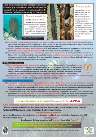 RetoNACRA -BTTersMallorca